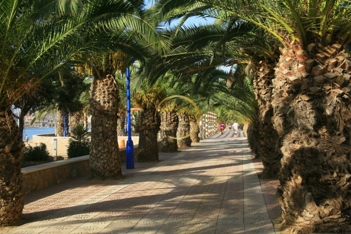 Property 29
