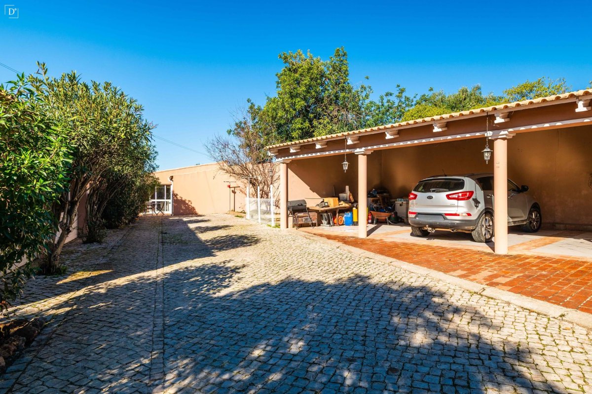 Propriedade 24