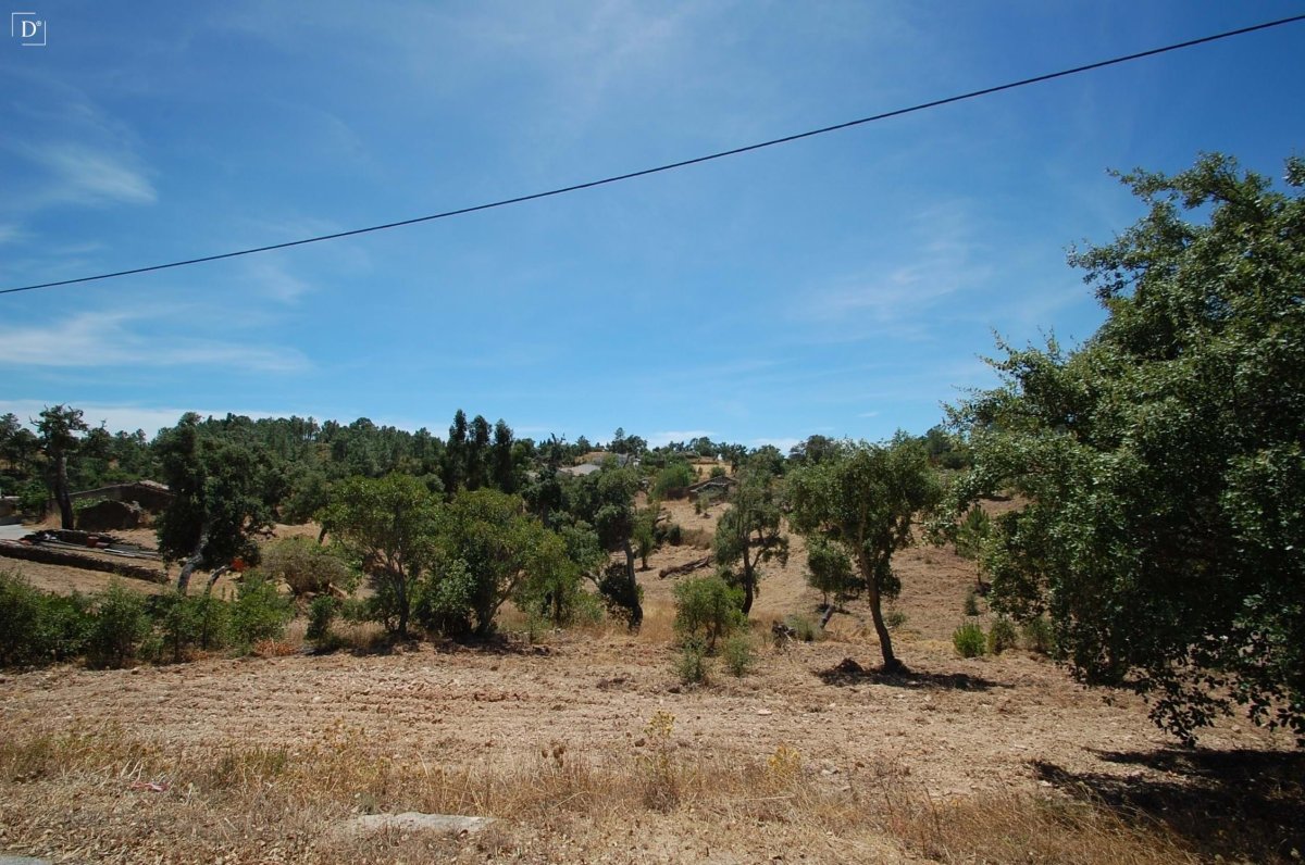 Propriedade 19