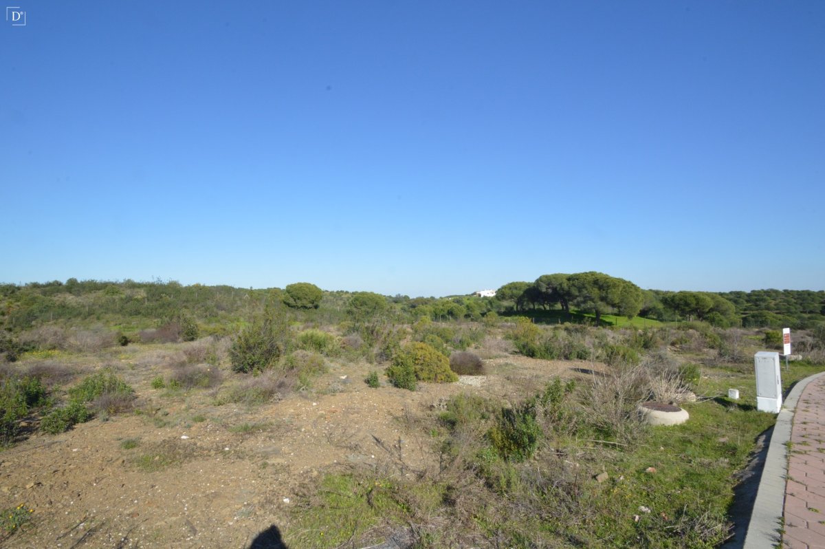 Propriedade 4