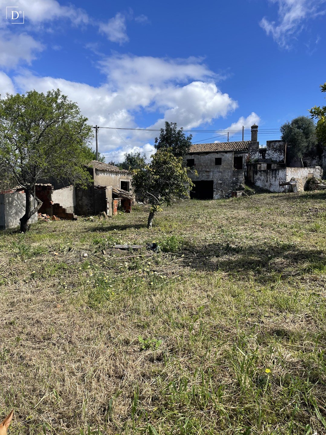 Propriedade 12