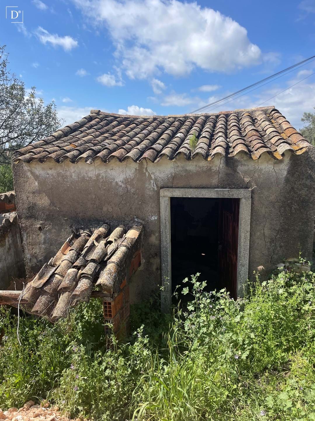 Propriedade 16