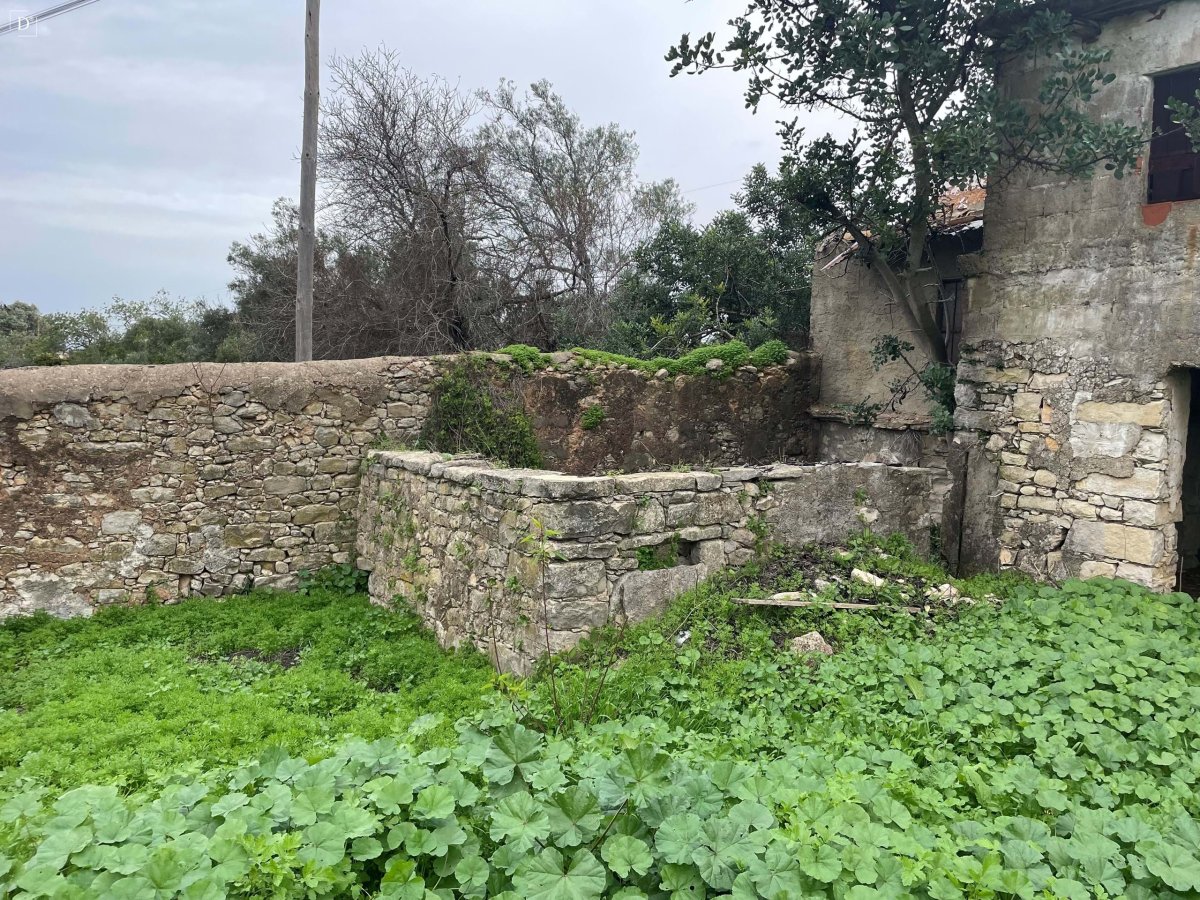 Propriedade 10