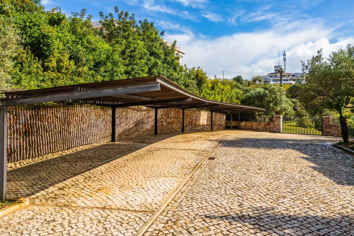 Propriedade 29
