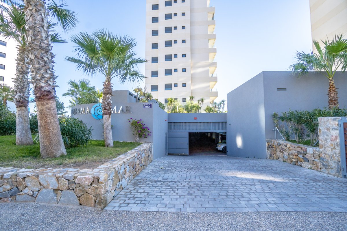 Property 38