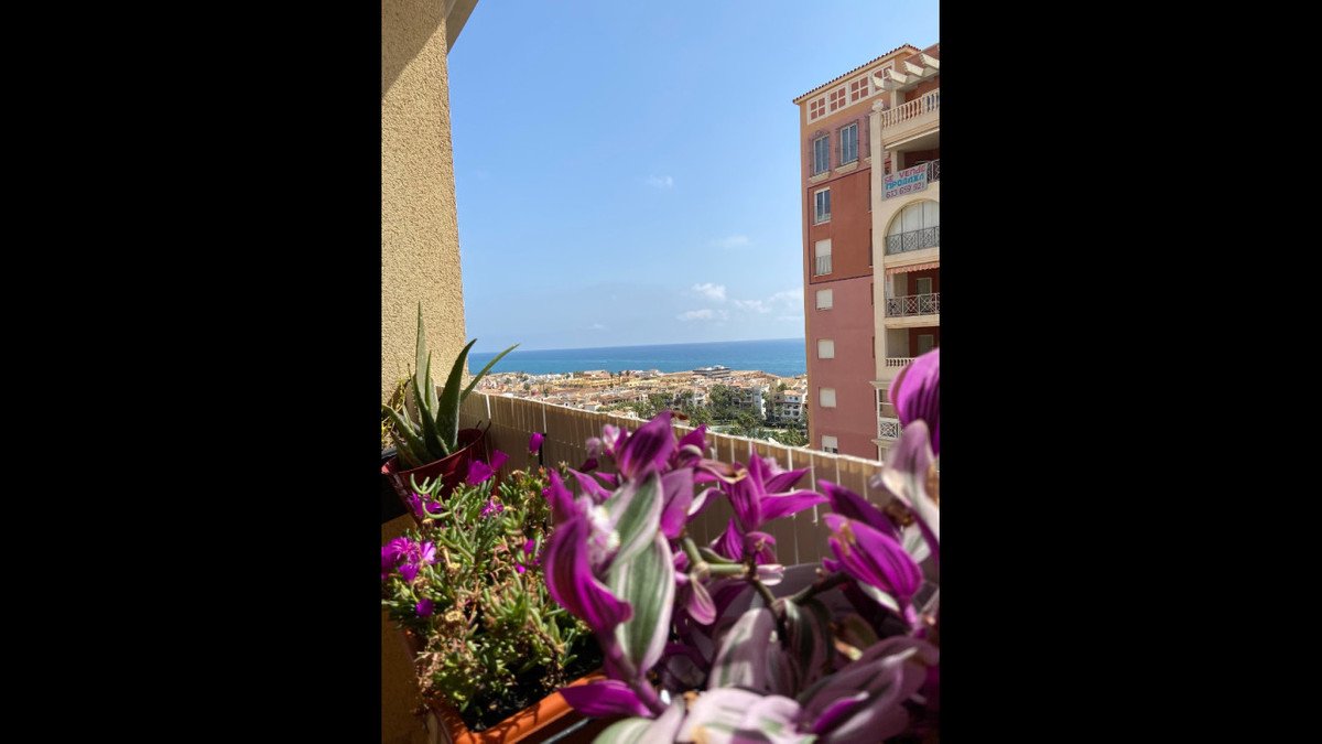 Property 29