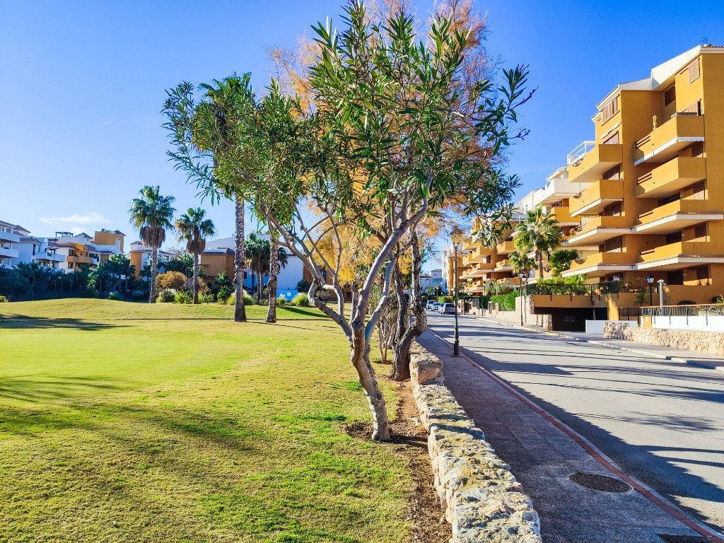 Propiedad 44