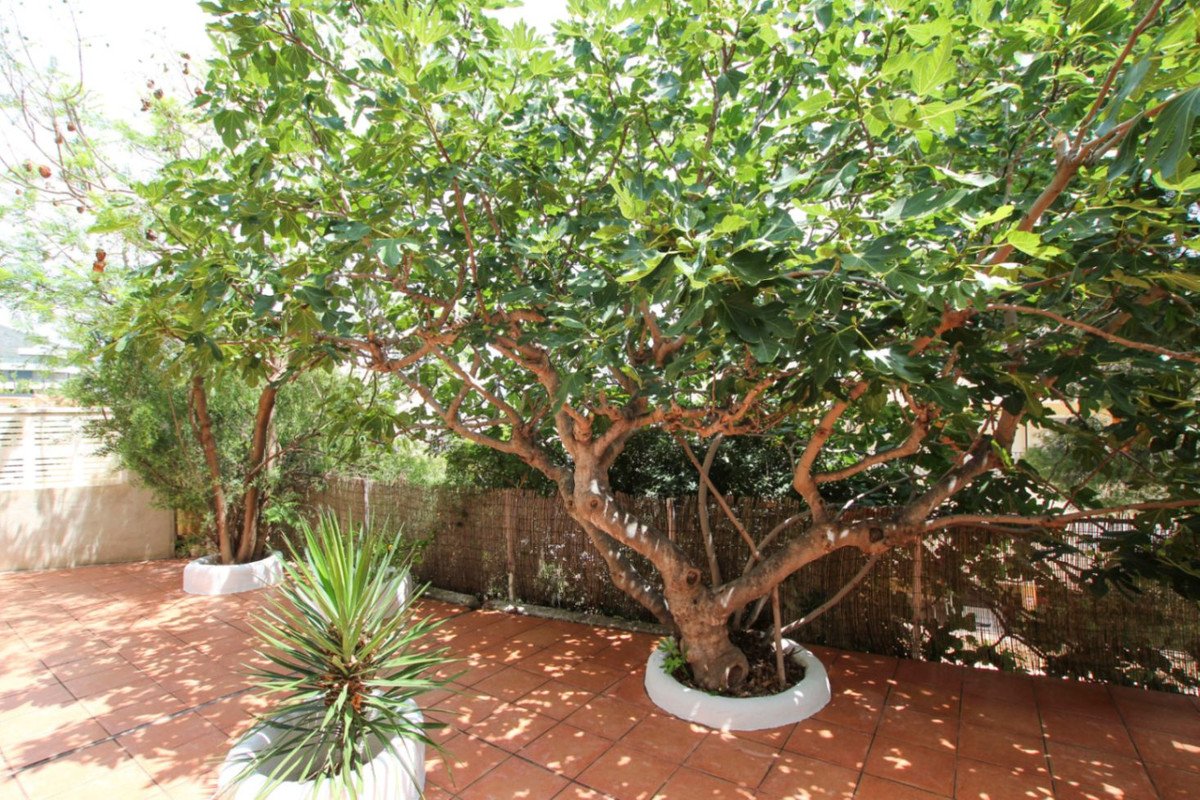 Property 24