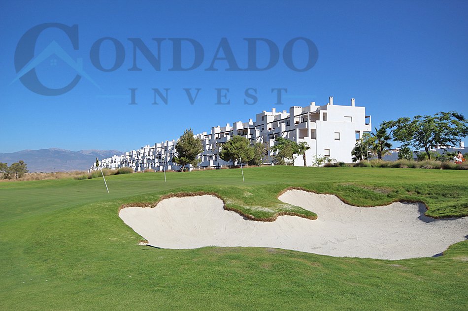 Propiedad 8