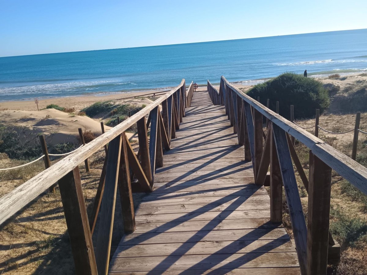 Propiedad 15