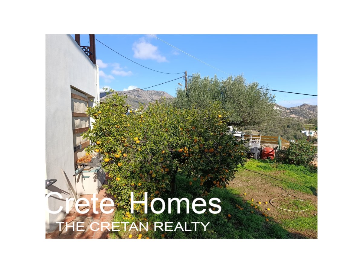 Property 10