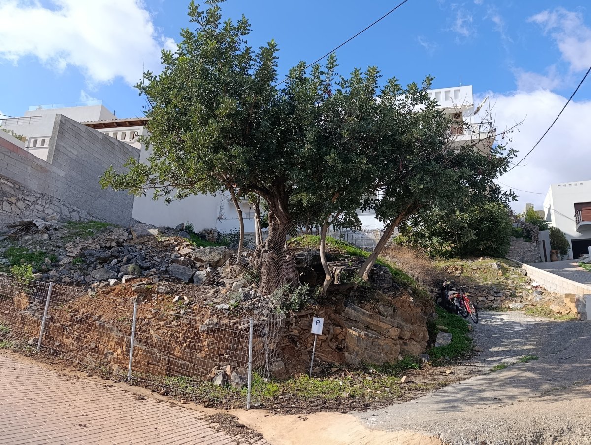 Propriedade 1