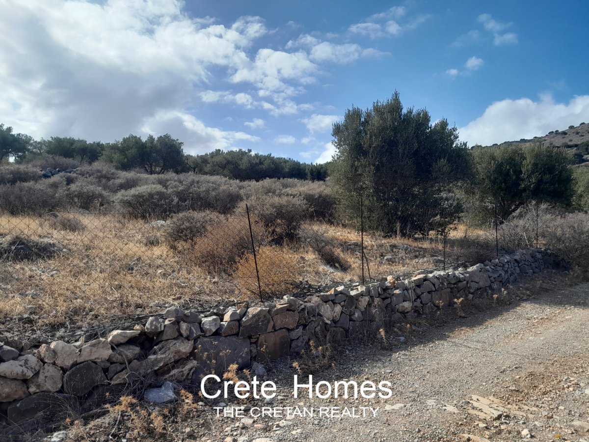 Property 5