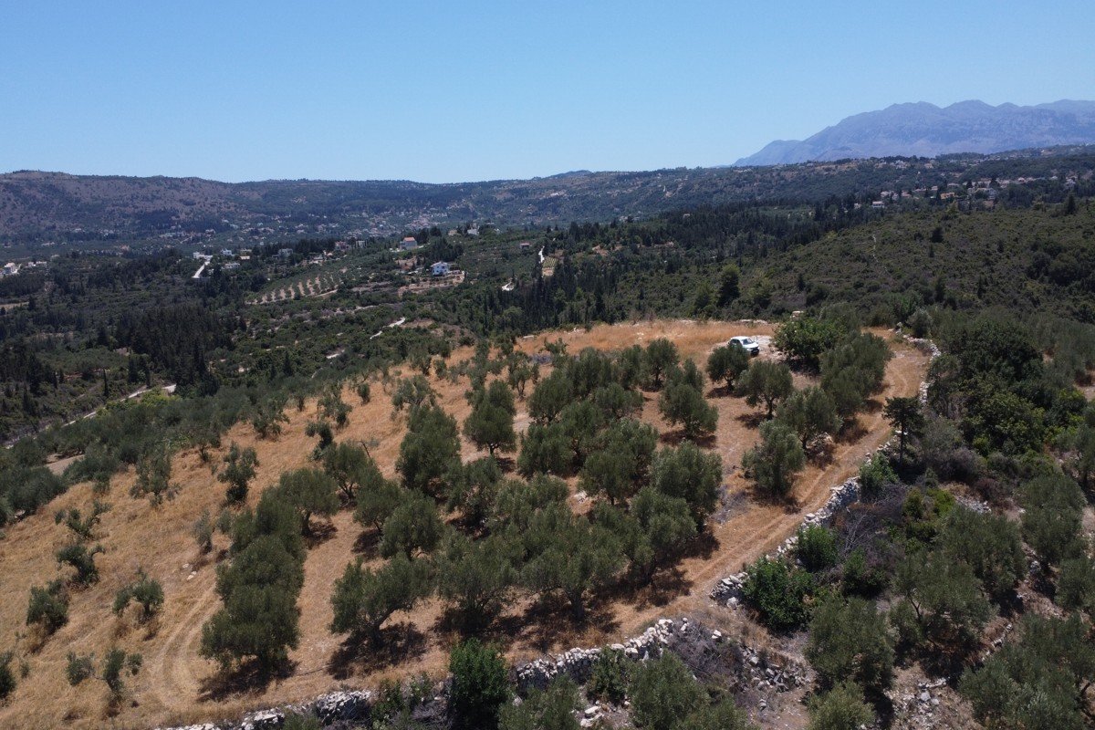 Property 27