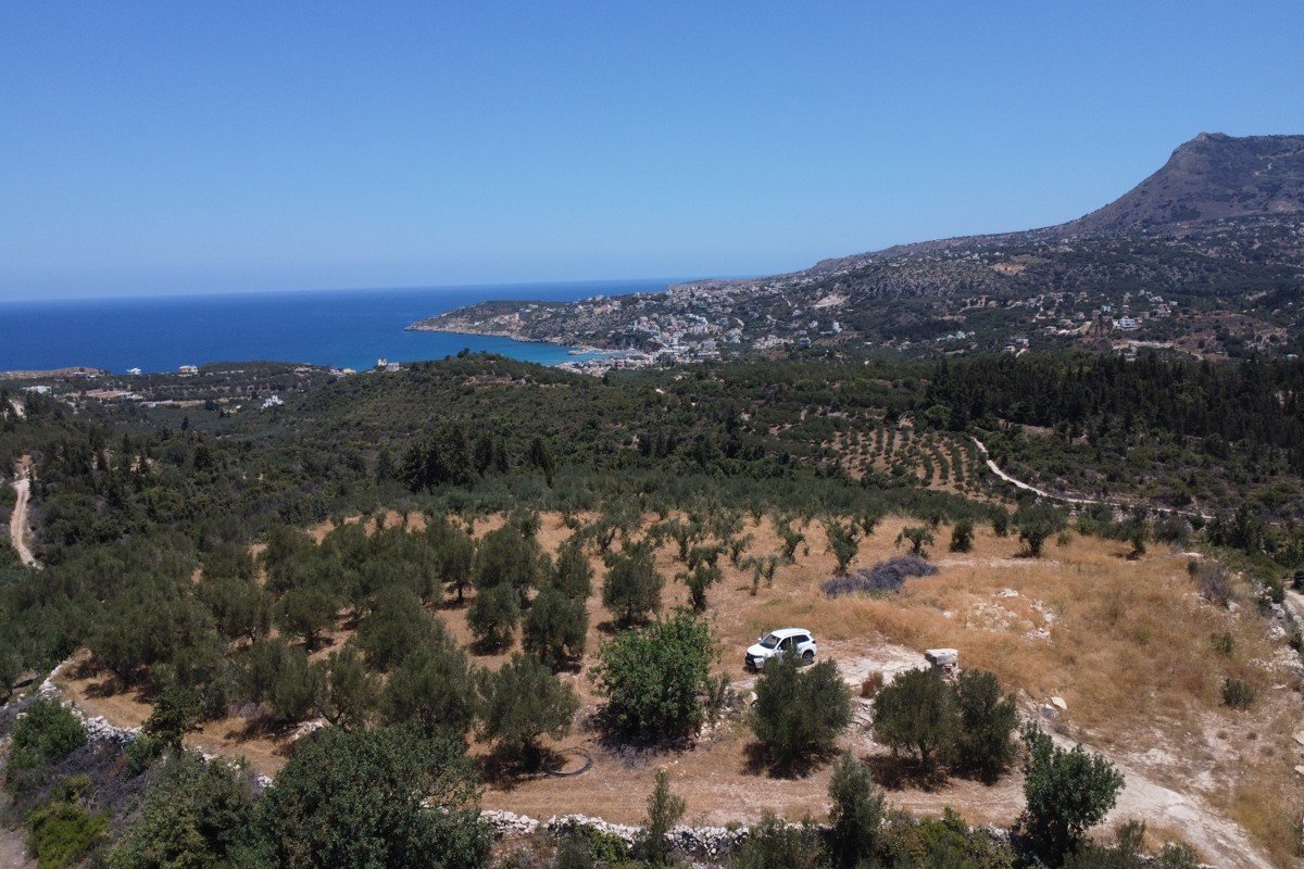 Property 28