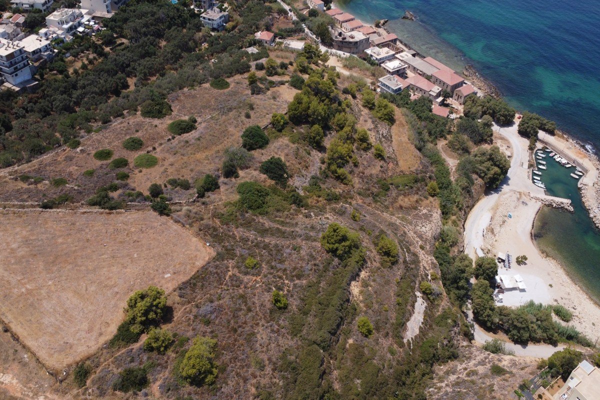 Property 26