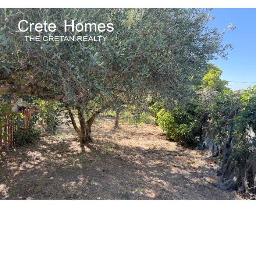 Property 24