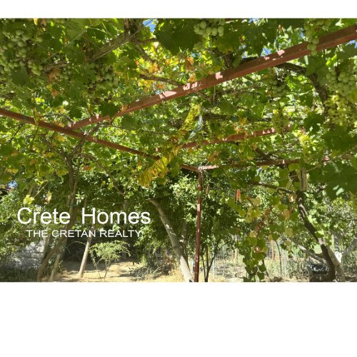 Property 25