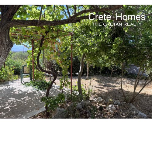 Property 27