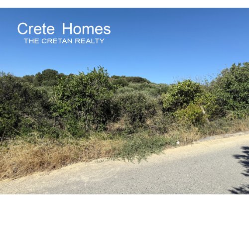 Property 28