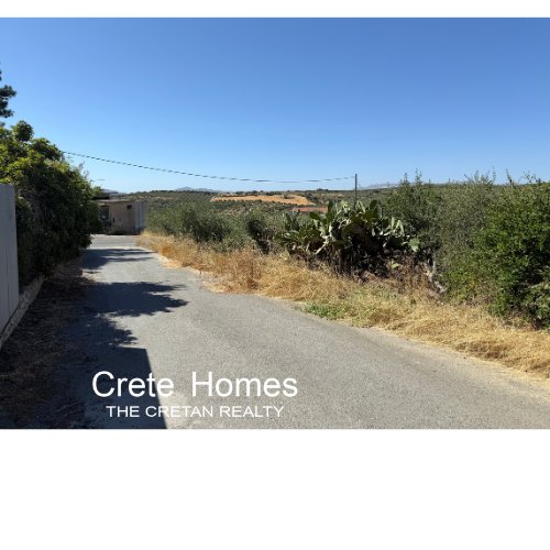 Property 29