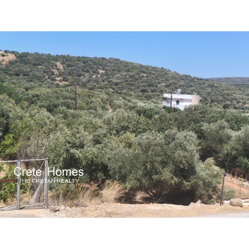 Property 1