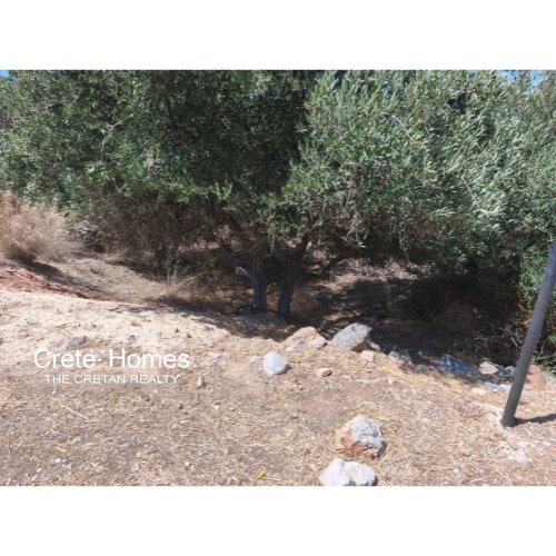 Property 4