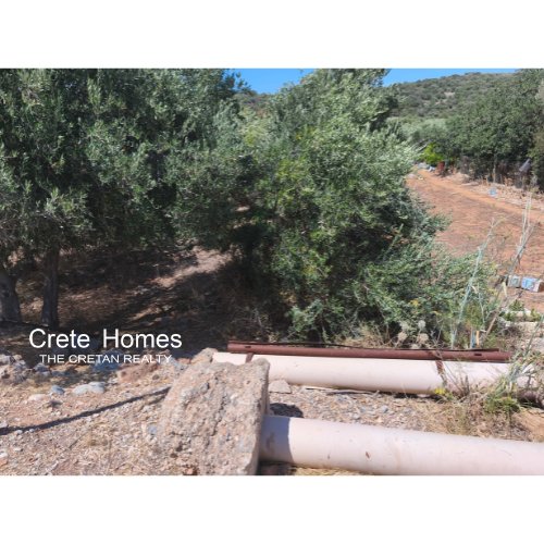 Property 6