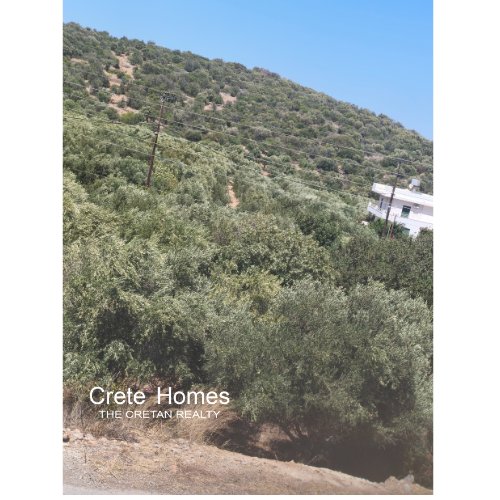 Property 8