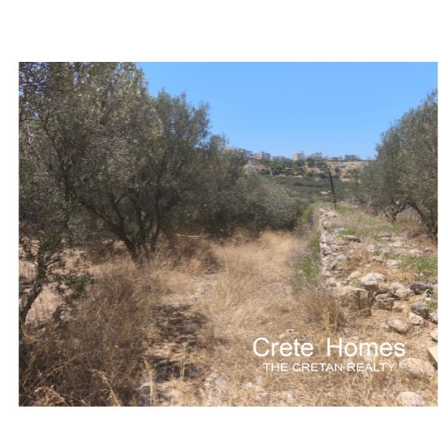Property 1
