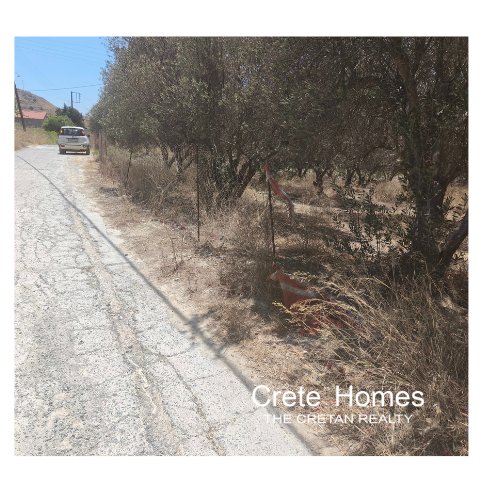 Property 4