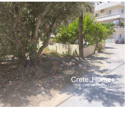 Property 6