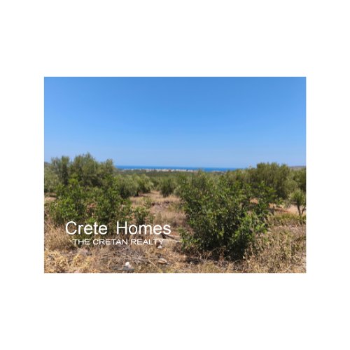 Property 11
