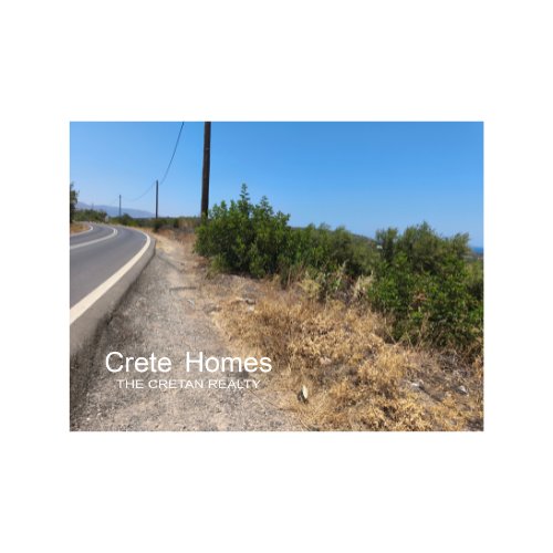 Property 12