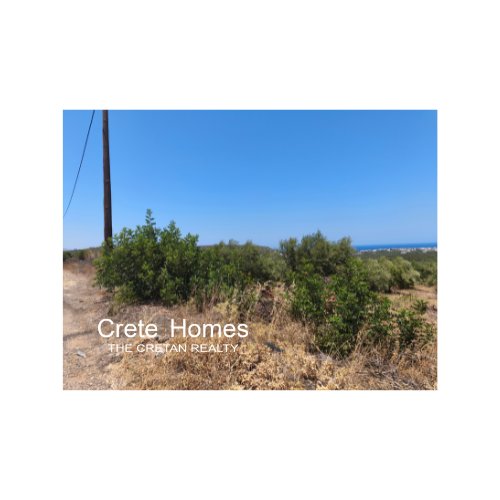 Property 13