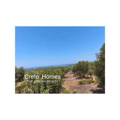 Property 15