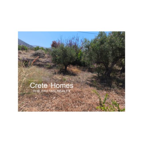 Property 4