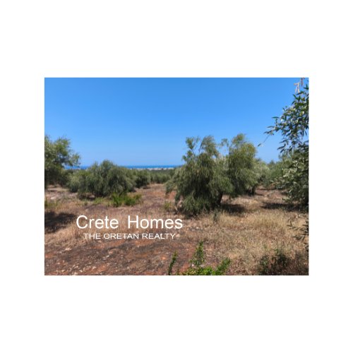 Property 5