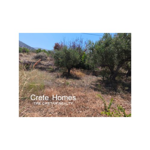 Property 6