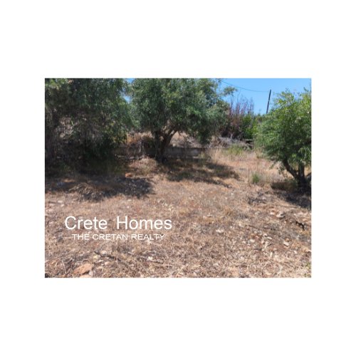 Property 8