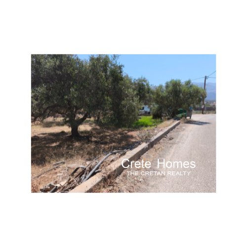 Property 11