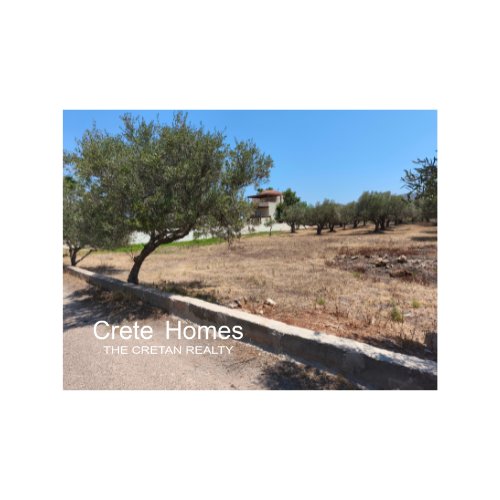 Property 4