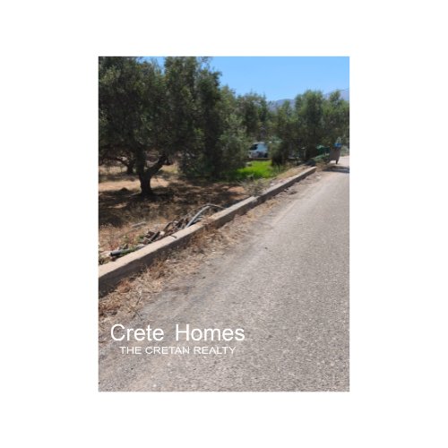 Property 10