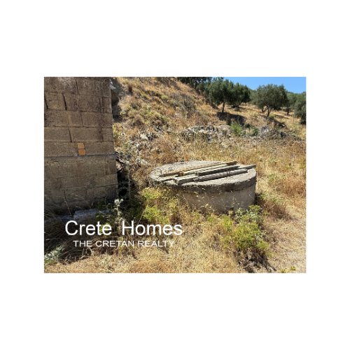Property 12