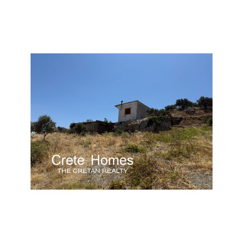 Property 19