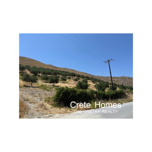 Property 20