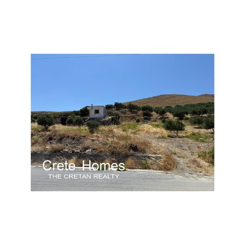 Property 21