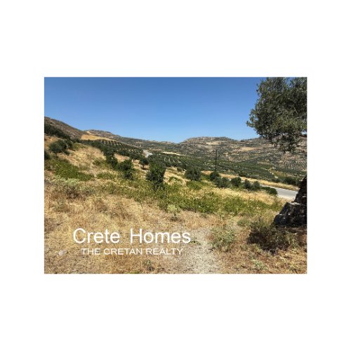 Property 10