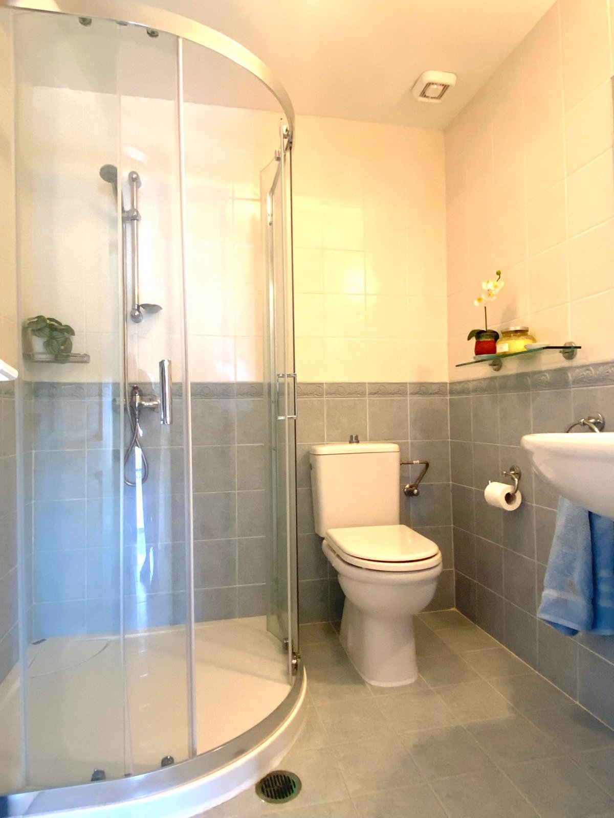 Property 38