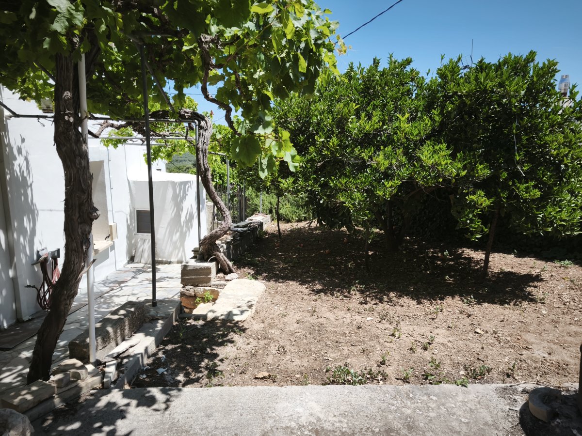 Property 19